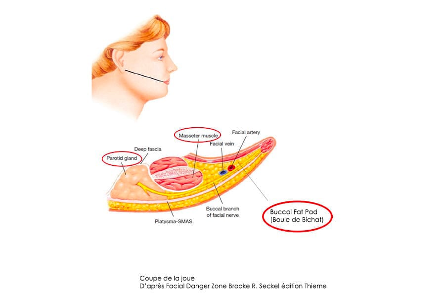 abdominoplastie un an apres chirurgie ventre chirurgie esthetique paris dr philippe pelissier chirurgien plasticien esthetique paris